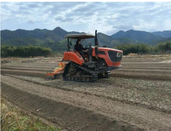 La siembra de primavera trae esperanza, la tierra recupera vitalidad